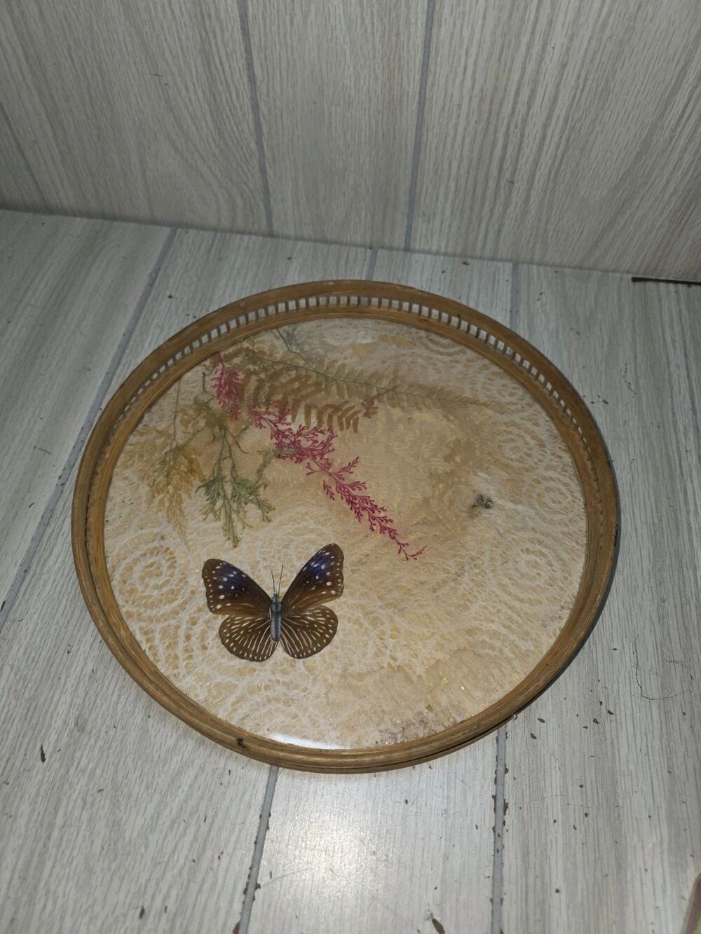 Vtg Bamboo Serving/Vanity Tray Dried Butterflies Floral Rattan 11'' Boho